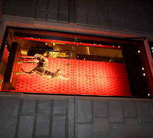 Barcelona магазин Луи Витон