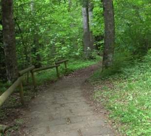 BarfussPark Hallwangen