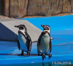 Discovery Park Manavgat