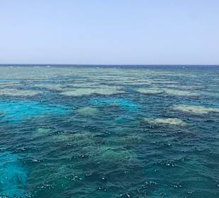 ORCA Dive Club Soma Bay 