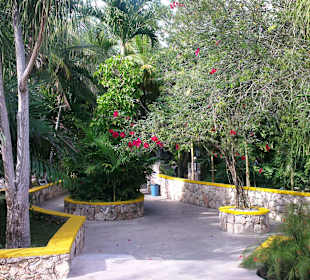 In der Anlage Cenote Ik-Kil