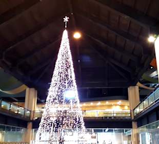 Kavalan Whisky Distillery