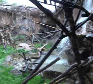 Tierpark