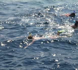 Delphinausflug mit Mohamed