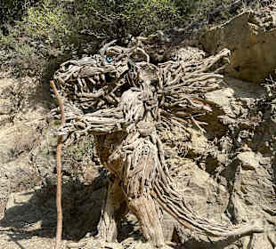 Schlucht von Göynük / Göynük Canyon Park