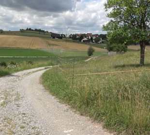Wanderweg Ammerbucher Gigeleswegle