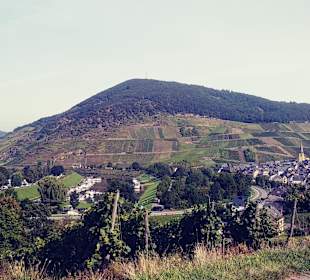 Wandern Beilstein