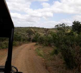 Im Hluhluwe Park unterwegs