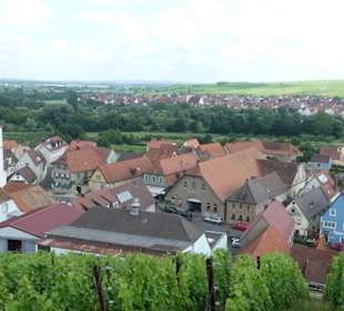 Escherndorf: Eindrücke einer Weinbergeswanderung