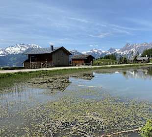 Wandern Bartholomäberg