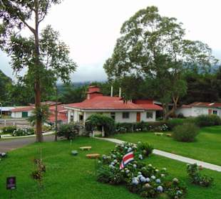 Doka Estate Kaffeeplantage