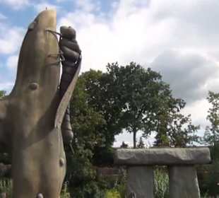 Fantasy - Wassertreter