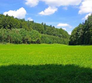 Der Therapeutische Wanderweg