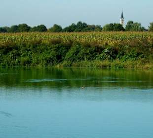 Im Naturschutzgebiet