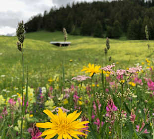 Wandern in Serfaus-Fiss-Ladis