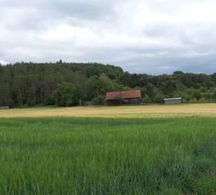Wanderweg - Alter Steinbruch Pfaffenberg Runde