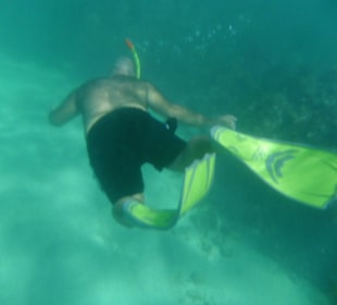 Hotel Grand Palladium Punta Cana Resort & Spa