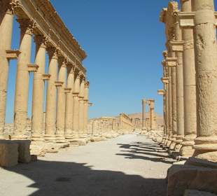 Palmyra