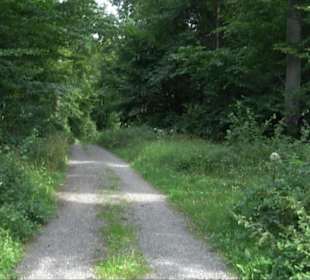 Sonnenaufgangs-Rundwanderung Rübgarten