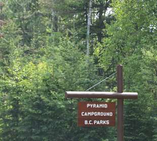 ....Achtung "black flies" nach dem Regen!