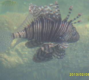 SUNRISE Grand Select Crystal Bay Resort