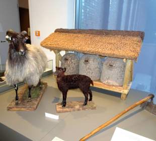 In der Natur- und Kulturabteilung des Museums