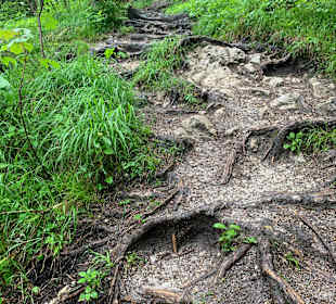 Wandern Schönau am Königssee