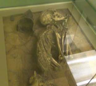 Niedersächsisches Landesmuseum