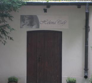 Park przy Pałacu w Nieborowie