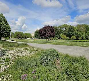 Wileypark