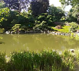 Japanischer Garten in Kaiserslautern