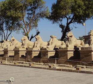 Tagesausflug nach Luxor ab Makadi Bay