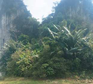 Khao Lak-Lam Ru National Park