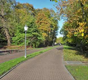 Der Parkmittelweg