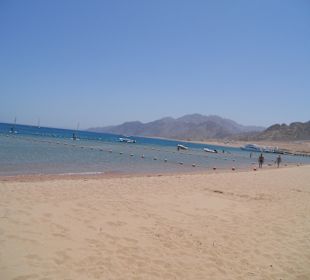 Beach outside Hotel Iberotel Dahabeya