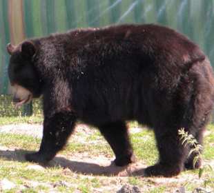 Serengeti Park Hodenhagen