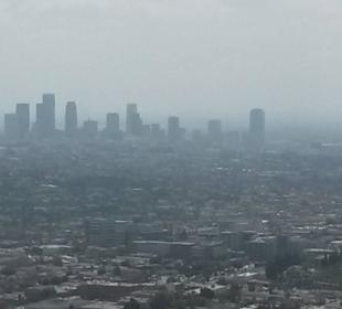 Blick auf LA vom Griffith Park