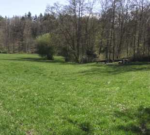 Grillstelle am Markwasen 