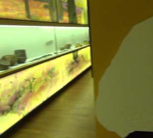 Niedersächsisches Landesmuseum