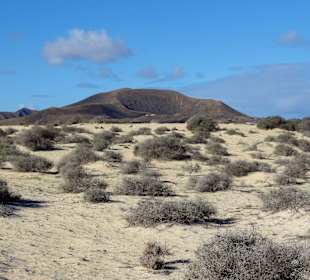 Impressionen aus der Dünenlandschaft