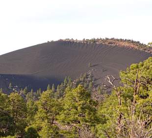 Feine schwarze Asche