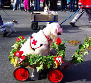 BRK Fürth Fußgrp.3 Festwagen Früher und Heute