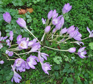 Spaziergang durch den Harburger Stadtpark