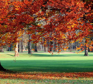 Herbststimmung am Golfplatz Oberau