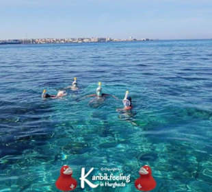 Karibikfeelingtour am Roten Meer 13.11.2017