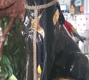 Wo es halt reinpasst