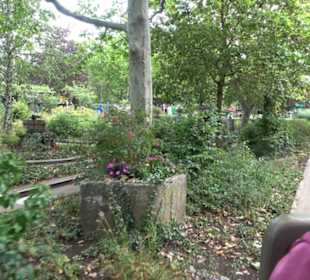 Erlebnispark Tripsdrill