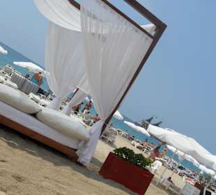 Palm Beach- Traumhafte Kulisse