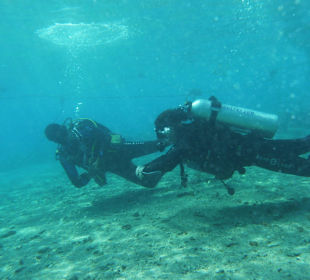 ORCA Dive Club Coral Garden