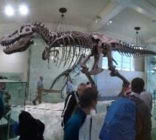 Museum of National History